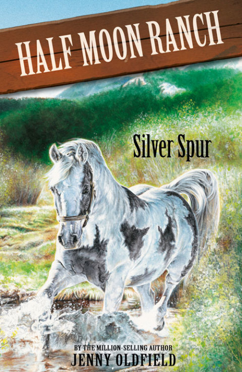 Cover image for book Silver Spur