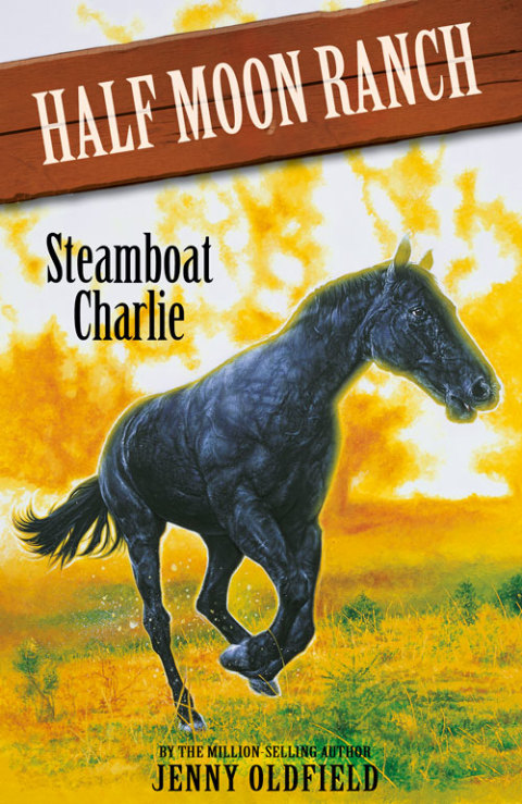 Cover image for book Steamboat Charlie