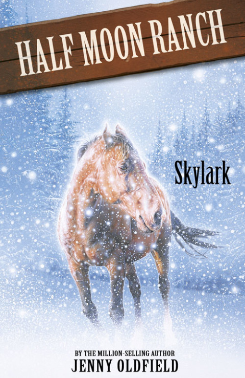 Cover image for book Skylark