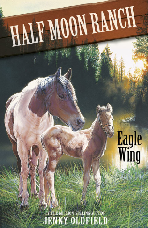 Cover image for book Eagle Wing