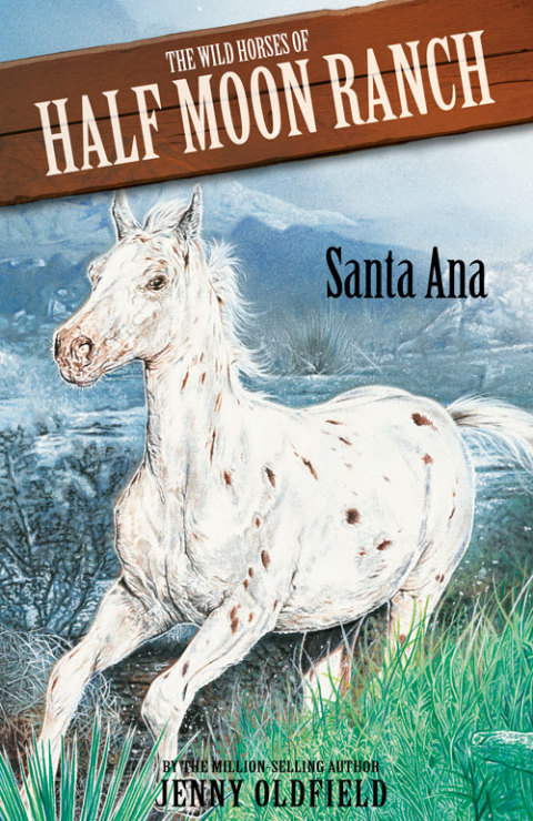 Cover image for book Santa Ana