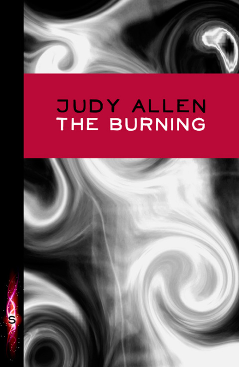 Cover image for book The Burning