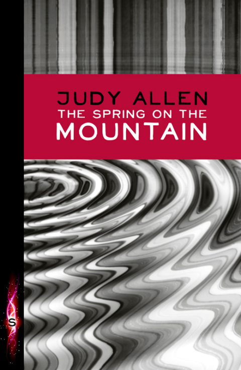 Cover image for book The Spring On The Mountain