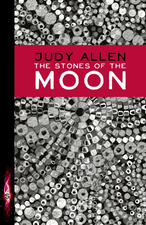 Cover image for book The Stones Of The Moon