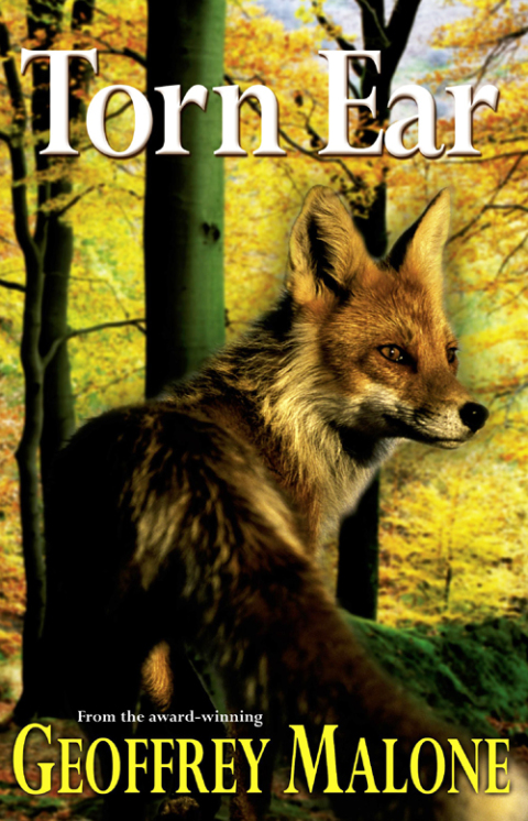 Cover image for book Torn Ear