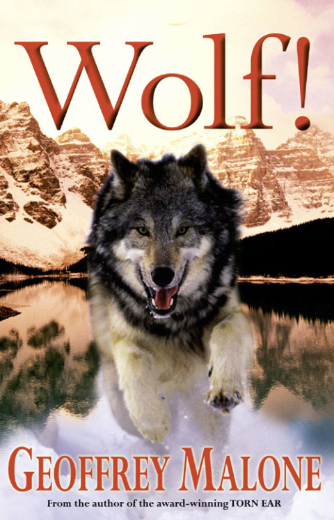 Cover image for book Wolf