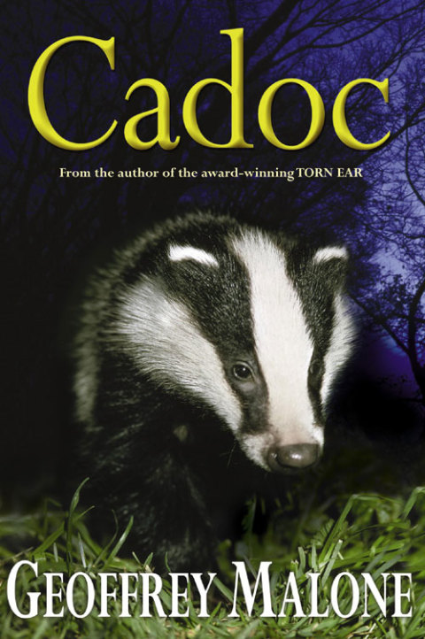 Cover image for book Cadoc