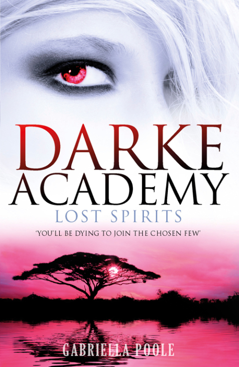 Cover image for book Lost Spirits