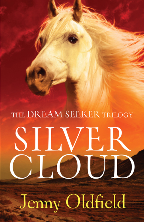 Cover image for book Silver Cloud