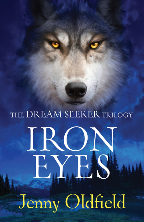 Cover image for book Iron Eyes