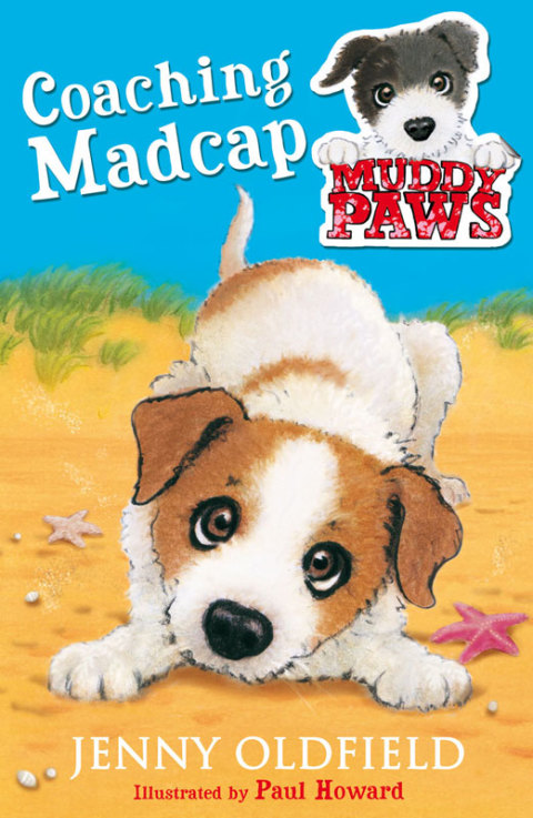 Cover image for book Coaching Madcap