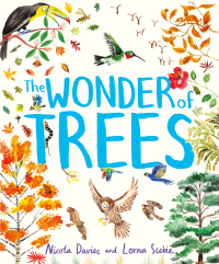 Cover image: The Wonder of Trees 9781444938197