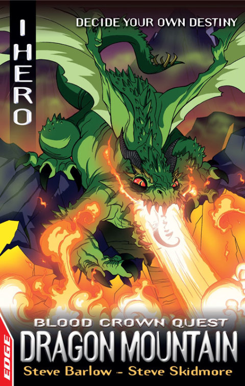 Cover image for book Dragon Mountain