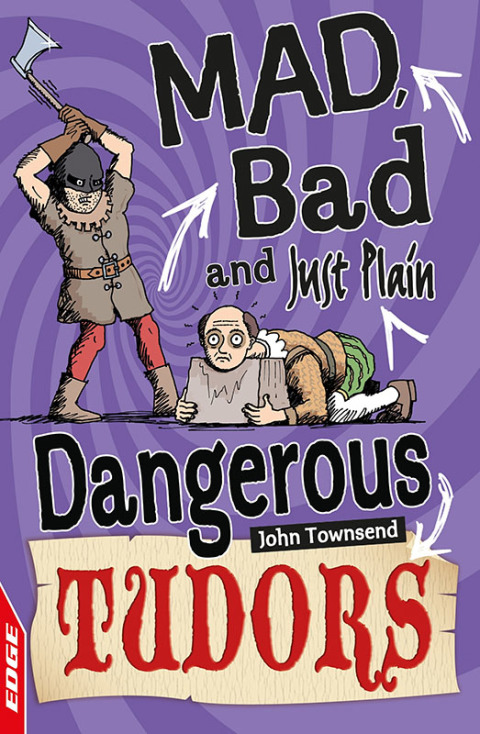 Cover image for book Tudors
