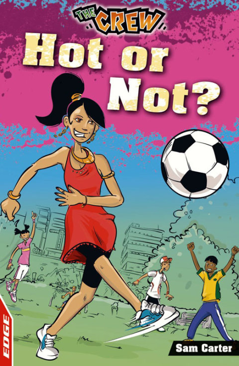 Cover image for book Hot or Not?