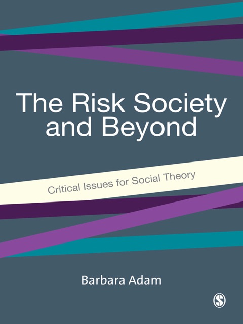 Cover image for book The Risk Society and Beyond