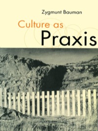 Cover image: Culture as Praxis 1st edition 9780761959885