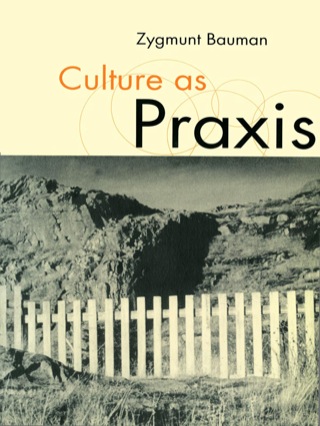 Culture As Praxis