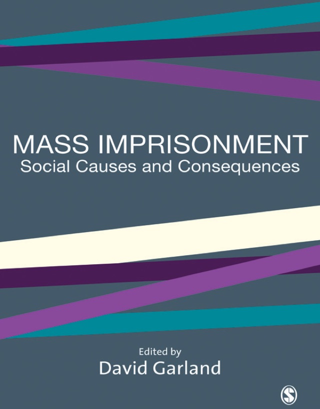 Mass Imprisonment Social Causes and Consequences