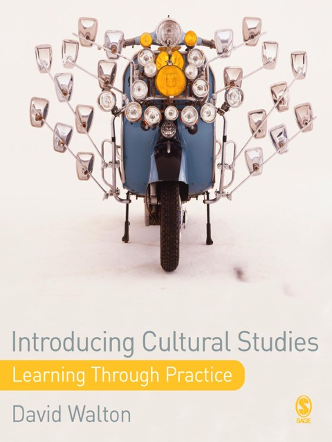 Introducing Cultural Studies 
