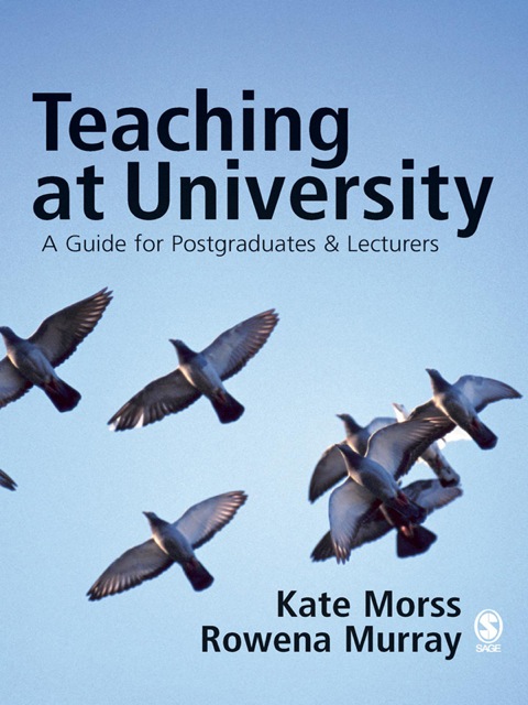Cover image for book Teaching at University