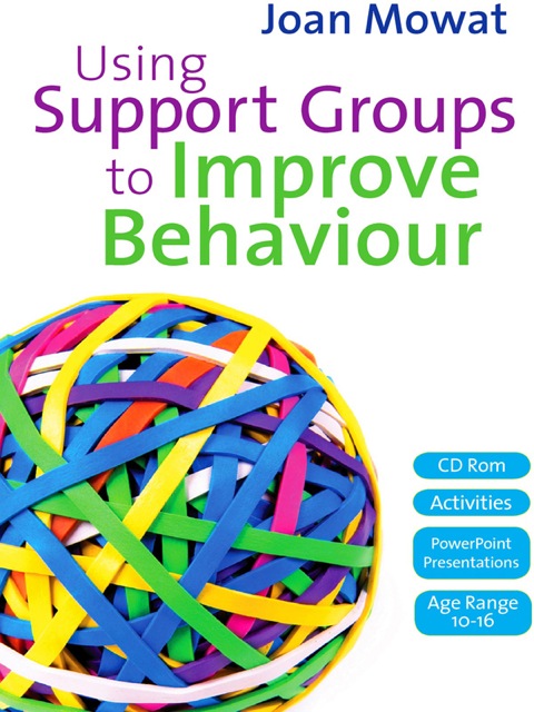 Cover image for book Using Support Groups to Improve Behaviour