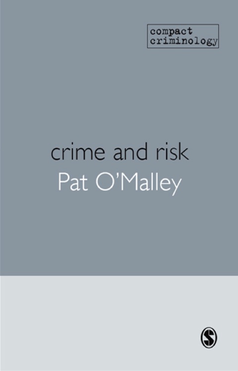 Cover image for book Crime and Risk