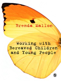 Cover image: Working with Bereaved Children and Young People 1st edition 9781849203715