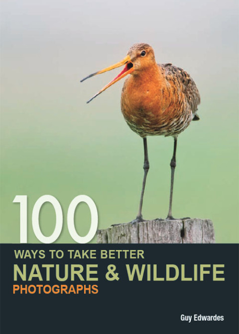 Cover image for book 100 Ways to Take Better Nature & Wildlife Photographs