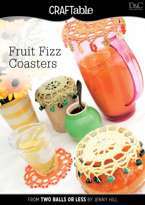 Cover image for book Fruit Fizz Coasters