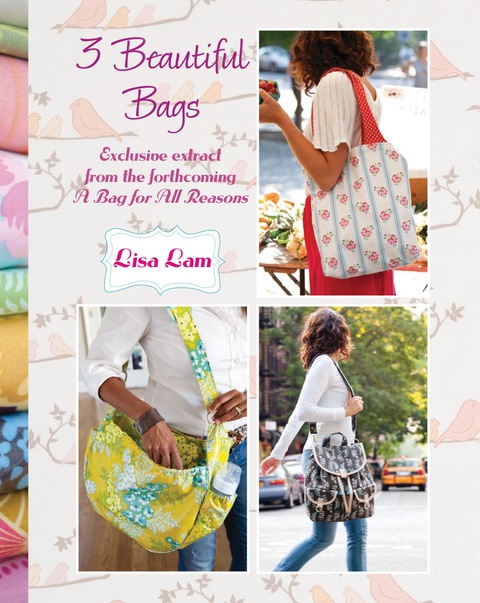 Cover image for book 3 Beautiful Bags