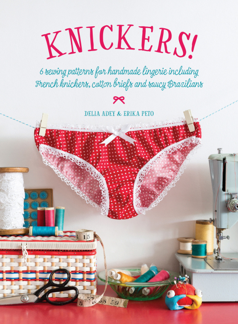 Cover image for book Knickers!
