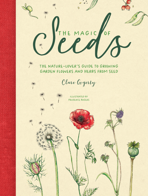 Cover image for book The Magic of Seeds