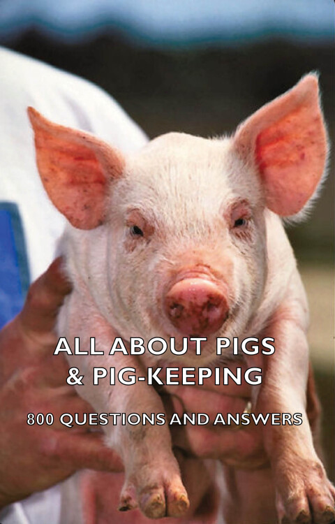 Cover image for book All about Pigs & Pig-Keeping - 800 Questions and Answers