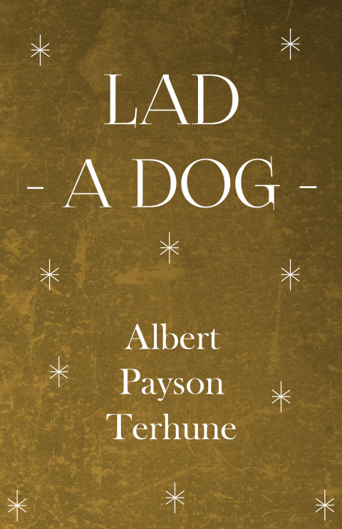 Cover image for book Lad - A Dog