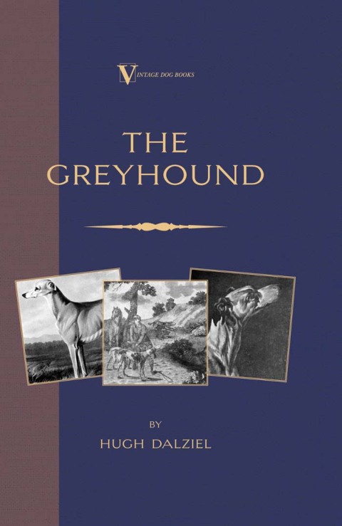 Cover image for book The Greyhound: Breeding, Coursing, Racing, etc. (a Vintage Dog Books Breed Classic)