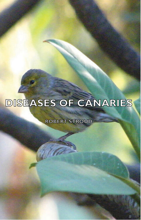 Cover image for book Diseases of Canaries