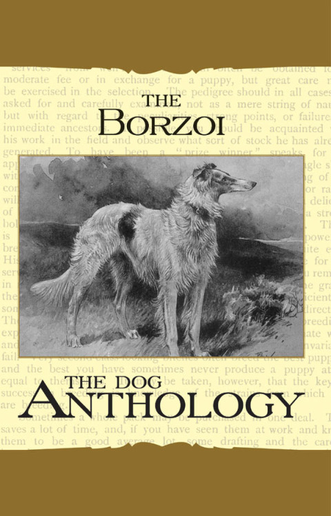 Cover image for book Borzoi: The Russian Wolfhound - A Dog Anthology (A Vintage Dog Books Breed Classic)
