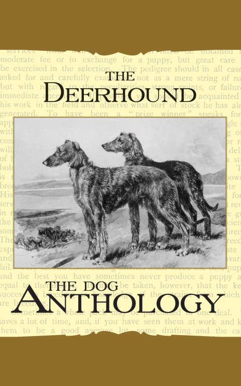 Cover image for book The Deerhound - A Dog Anthology (A Vintage Dog Books Breed Classic)
