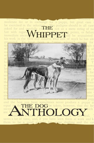 The Whippet - A Dog Anthology (A Vintage Dog Books Breed Classic)