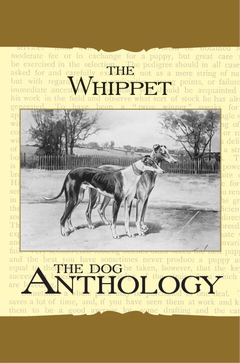 Cover image for book The Whippet - A Dog Anthology (A Vintage Dog Books Breed Classic)