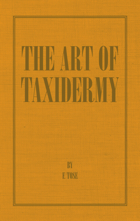 Cover image for book The Art of Taxidermy