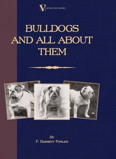 Cover image for book Bulldogs and All About Them (A Vintage Dog Books Breed Classic - Bulldog / French Bulldog)