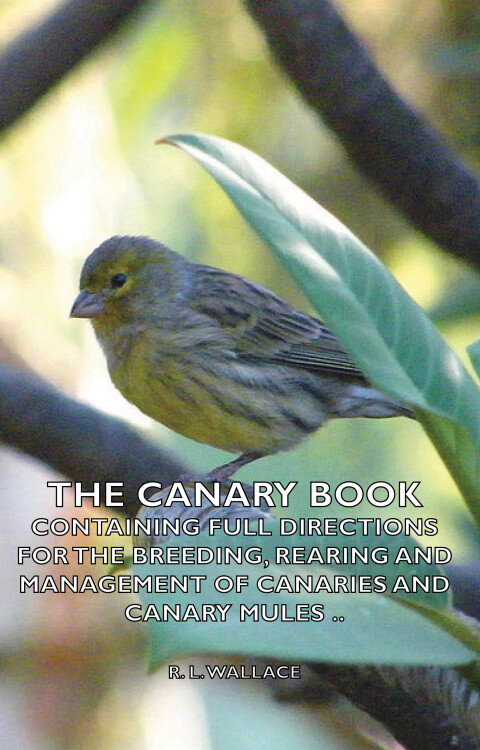 Cover image for book The Canary Book: Containing Full Directions for the Breeding, Rearing and Management of Canaries and Canary Mules