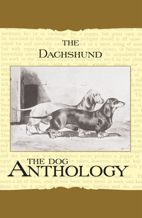 Cover image for book The Daschund - A Dog Anthology (A Vintage Dog Books Breed Classic)