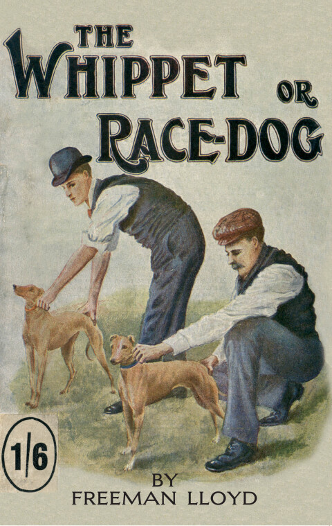 Cover image for book The Whippet or Race Dog: Its Breeding, Rearing, and Training for Races and for Exhibition. (With Illustrations of Typical Dogs and Diagrams of Tracks)