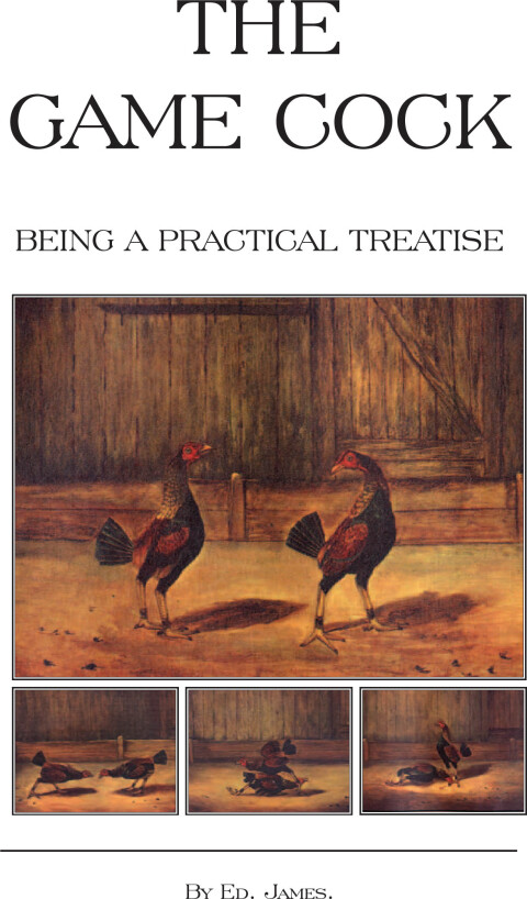 Cover image for book The Game Cock - Being a Practical Treatise on Breeding, Rearing, Training, Feeding, Trimming, Mains, Heeling, Spurs, Etc. (History of Cockfighting Ser