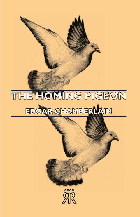 Cover image for book The Homing Pigeon