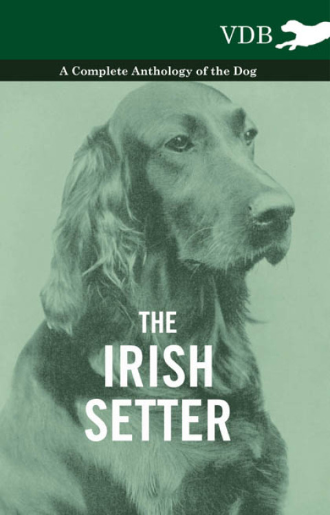 Cover image for book The Irish Setter - A Complete Anthology of the Dog