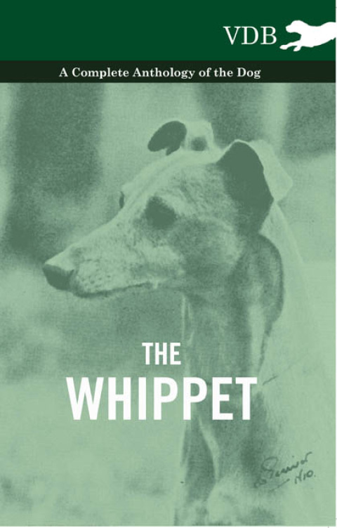 Cover image for book The Whippet - A Complete Anthology of the Dog
